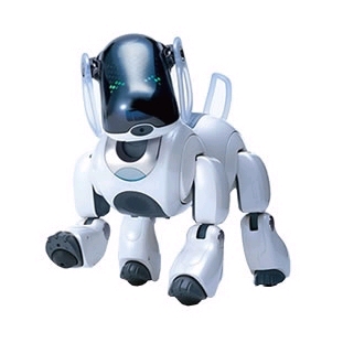 aibo